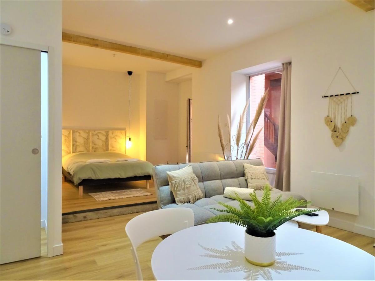 Sublime Cocon Pour 2 Aux Portes De La Place Nationale - Proximite Immediate Toutes Commodites Et Sites D'Interets Apartment Montauban Luaran gambar