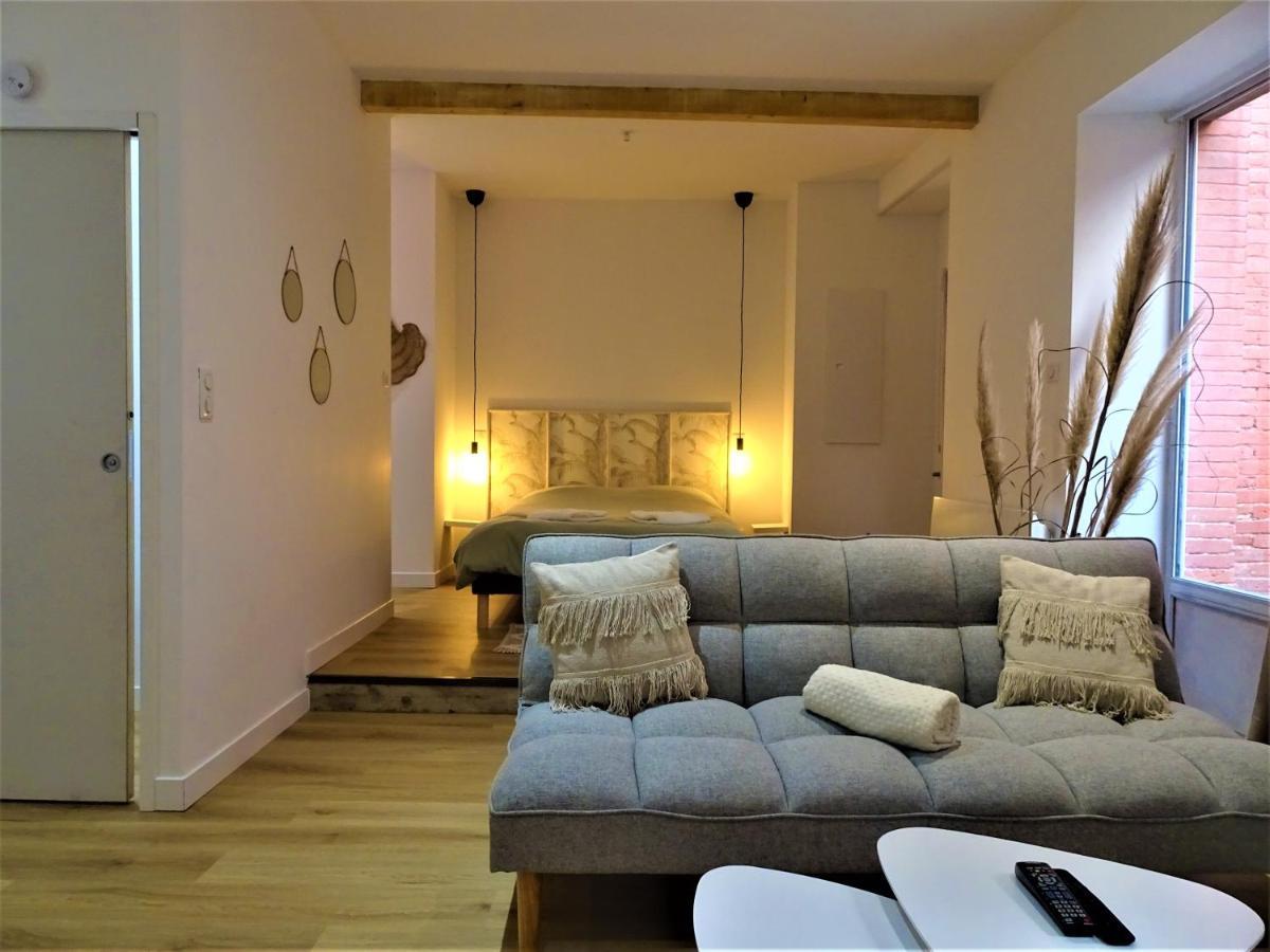 Sublime Cocon Pour 2 Aux Portes De La Place Nationale - Proximite Immediate Toutes Commodites Et Sites D'Interets Apartment Montauban Luaran gambar